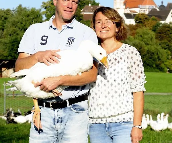 Bernhardhof *